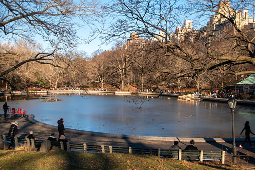 A serene pond nestled in the heart of Manhattan's Central Park, New York City, USA, offering a tranquil urban oasis amidst the bustling metropolis.