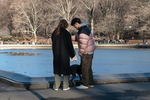 A young couple strolls through Central Park in Manhattan, New York City, with their dog, embracing the urban charm of the bustling metropolis.