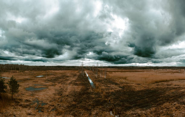 istock Landscape of the reserve 1718812827