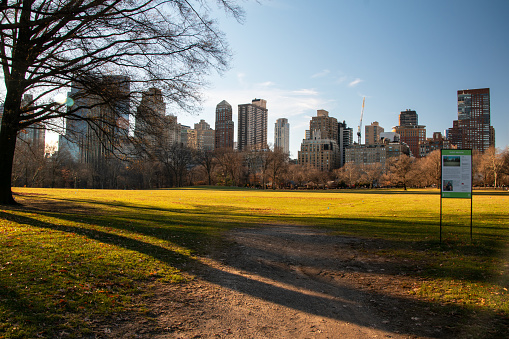 A sun-drenched lawn in the heart of Central Park, Manhattan, New York City, USA, bathed in the warm glow of sunlight, creating a picturesque and inviting scene.