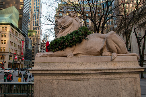 A majestic lion statue guards the entrance to the New York City Public Library on 5th Avenue in Manhattan, adding a touch of grandeur to this iconic cultural institution in the heart of NYC, USA.