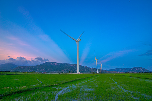 Wind power poles were built in the mountains of Phan Rang Ninh Thuan Vietnam wind power poles are in rice fields