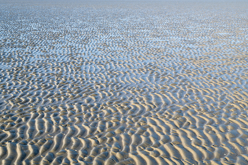 Lower Saxon Wadden Sea National Park in Cuxhaven, Germany