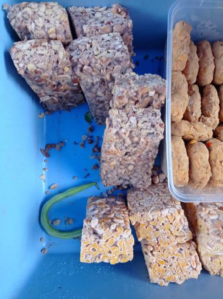 istock Several Kinds of Raw Tempeh 1718906120