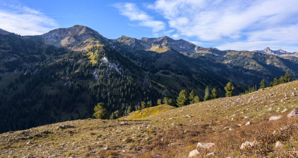 istock Big Cottonwood Canyon 1718913185