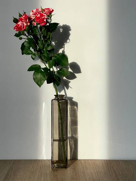 istock Beautiful roses in vase 1718914286