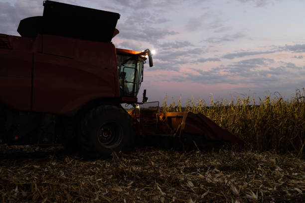 istock The combine harvests  at night 1718915400