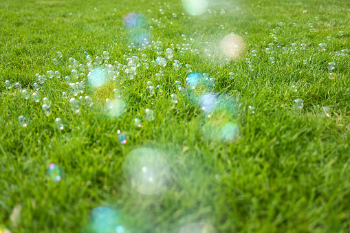 soap bubbles on meadow