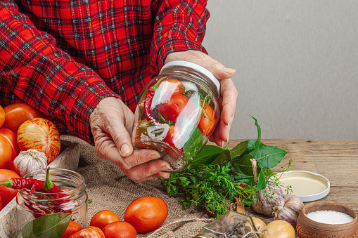 Preserved season vegetable concept. Harvest of tomato, chili, greens, onion and garlic. Woman's hands prepare ingredients for canned food, cooking process. Healthy recipes, home cuisine, copy space