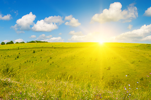 Green meadow (grassland) on a hilly landscape and Sky with bright sunise.