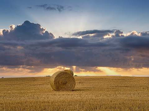 Hay in a round haystack in a field under the clouds. Harvesting, autumn field