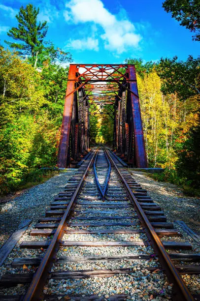 Railroad tracks with fall colors