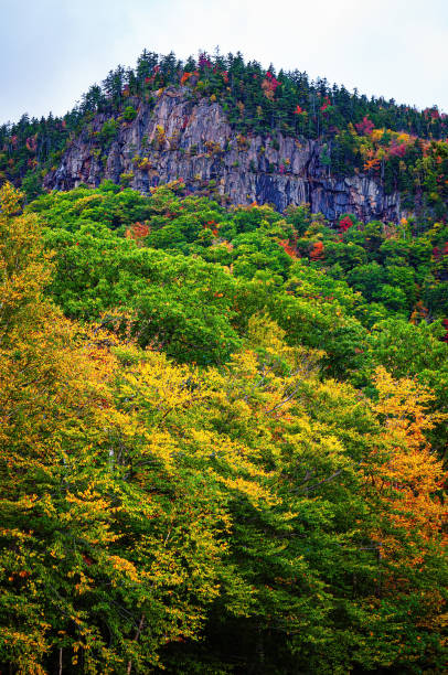 istock autumn colors in the mountains 1719009226