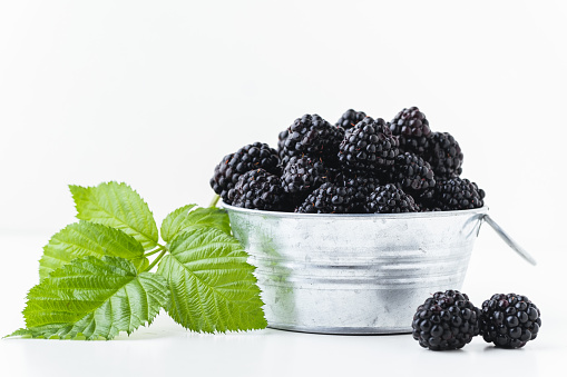 Freshly picked blackberries in a metal bowl with a green leaves on the white background