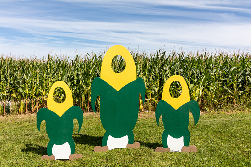 Corn cutouts for photos in front of the corn maze blue sky early fall afternoon  for fun family fall activity