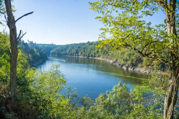 Beautiful landscape of the Vltava River and the forest near Zvikov Castle, Czech Republic. High quality photo