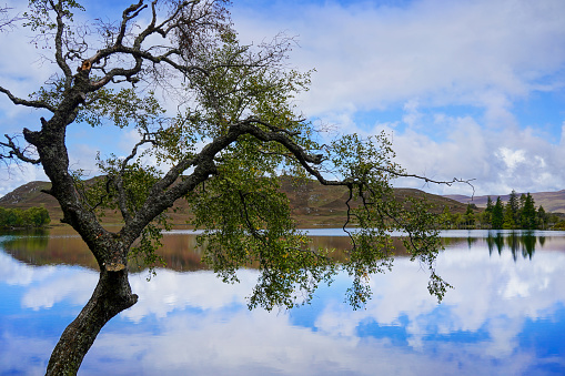 Loch Tarff is a small loch near Fort Augustus and Loch Ness.