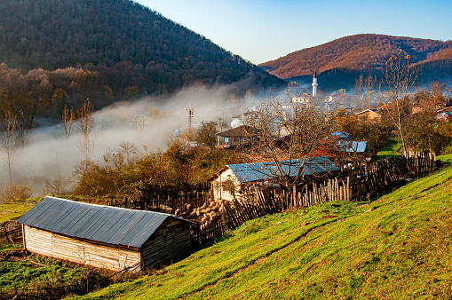 Village in the valley under the fog - İğneada Longoz Forests National Park