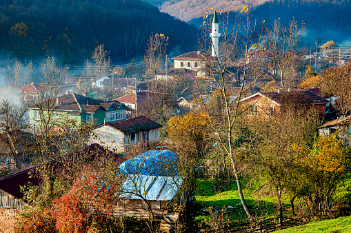 Forest village in İğneada
