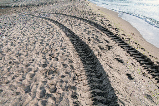Tractor tire tracks in sea sand