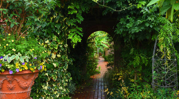 istock Formal Garden with archway through hedge 1719100435