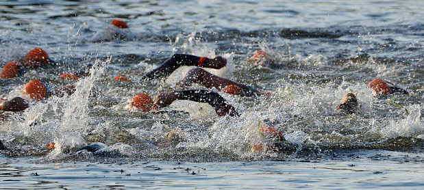 Triathlon Swimmers  in river orange hats.