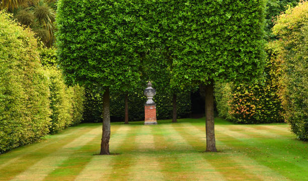Formal Garden with clipped trees and Hedges