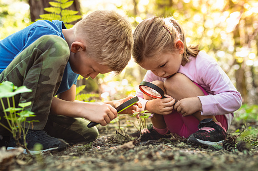Kids using magnifying glass in the forest.