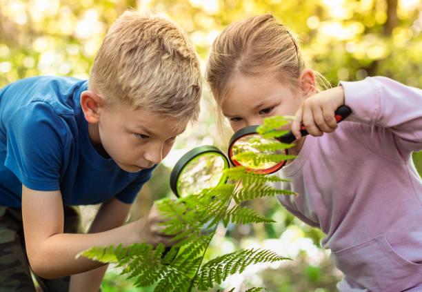 istock Kids exploring in forest with a magnifying glass. 1719110273