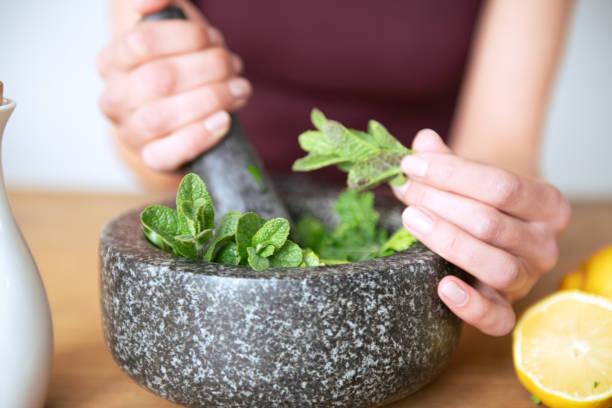 Herbes à la main - Photo