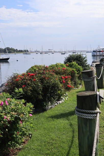 istock land and sea 1719150731