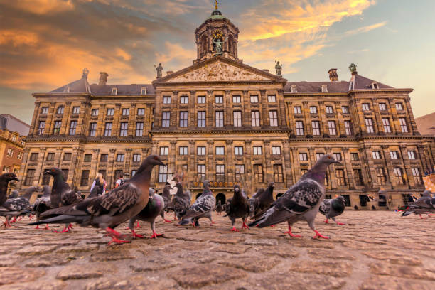 Pigeons in front of royal palace
