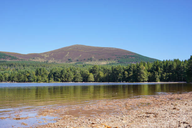 istock Loch Morlich and Glenmore forest in the Scottish highlands 1719168121