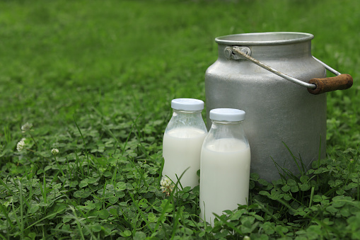 Bottles and can with fresh milk on green grass outdoors. Space for text