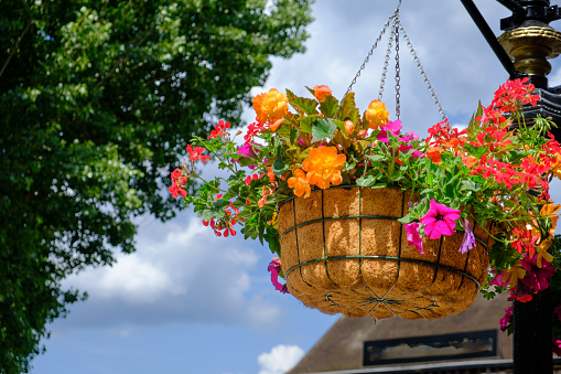 Colorful flower pot suspended in the air with small chains with the sky in the background