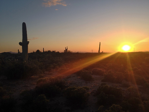 Sunset at a desert with saguaro cactuses and small bushes, with sun and sky in the background
