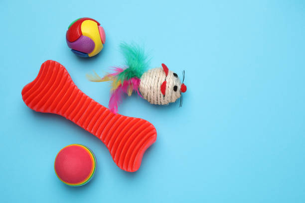 istock Different pet toys on light blue background, flat lay. Space for text 1719266197