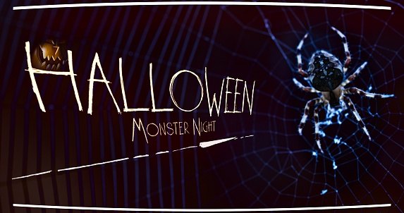 halloween monster night poster| on the right side gigantic spider and cob-web l on the left title and evils pumpkin over the posters slogan