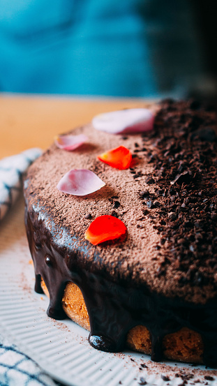 Vanilla cake with chocolate sauce