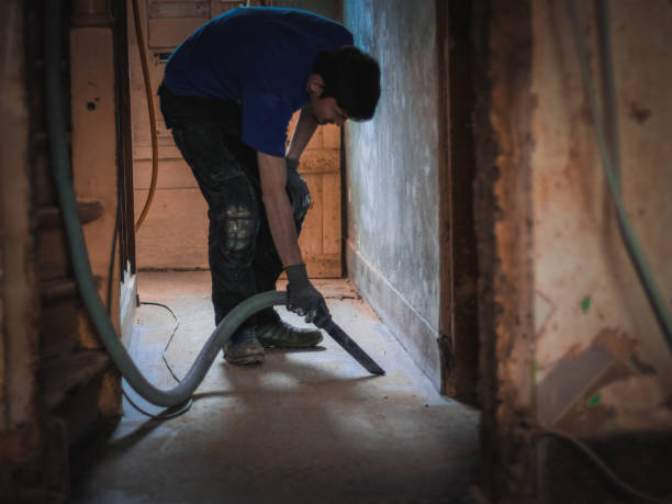 istock A young man vacuums a passage in a house before renovation. 1719433844
