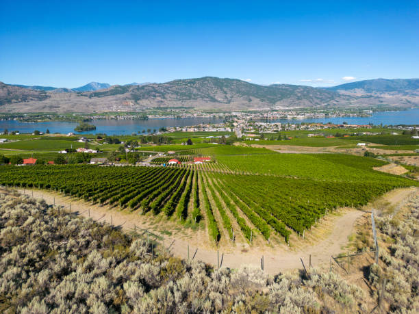 istock Okanagan Valley British Columbia Winery Vineyard Landscape 1719437538
