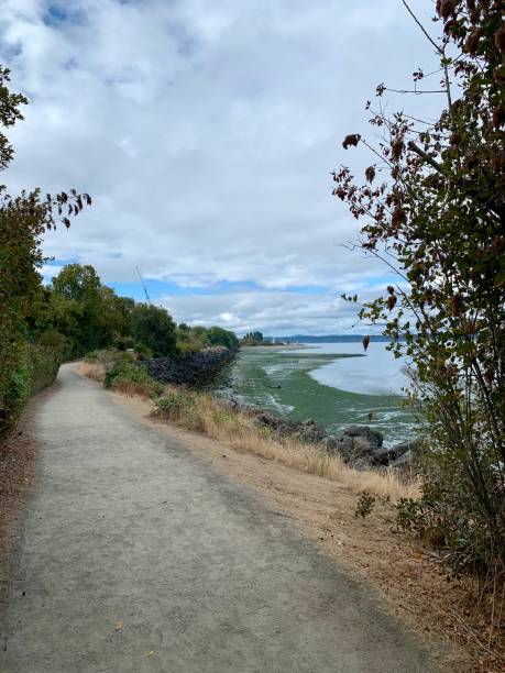 istock Discovery Park, Seattle, Washington 1719439624