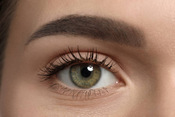 istock Young woman with permanent eyebrow makeup, closeup 1719441819