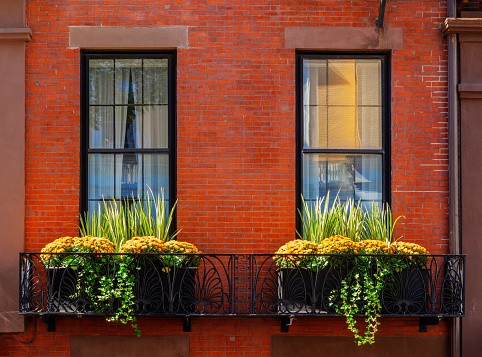 Two tall exterior windows, each with a box of plants on a black metal balcony beneath the windows. Plants include chrysanthemums. Black framed windows without shutters in a large brick wall.