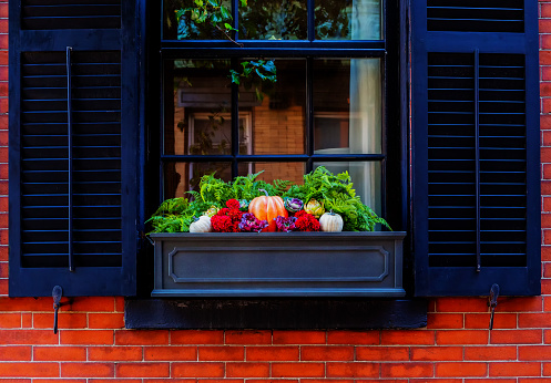 Exterior window box of autumn plant decorations including pumpkins, flowers, and evergreens. In front of a large glass window with black shutters, against a brick wall. Reflections in the window.