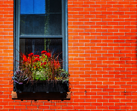Outdoor window box full of flowers and evergreens, in front of a tall glass window against a large brick wall.