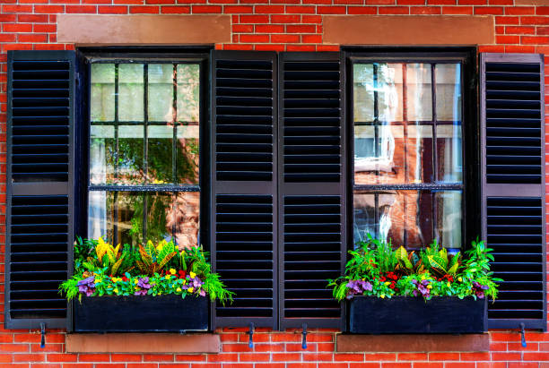 istock Two side-by-side window boxes full of flowers and plants - Boston Massachusetts 1719451395