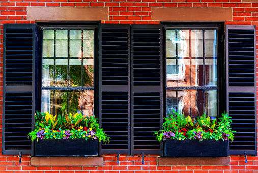 Two side-by-side exterior window boxes decorated with flowers and evergreens, in front of two glass windows with black shutters against a brick wall. Reflections in the window.