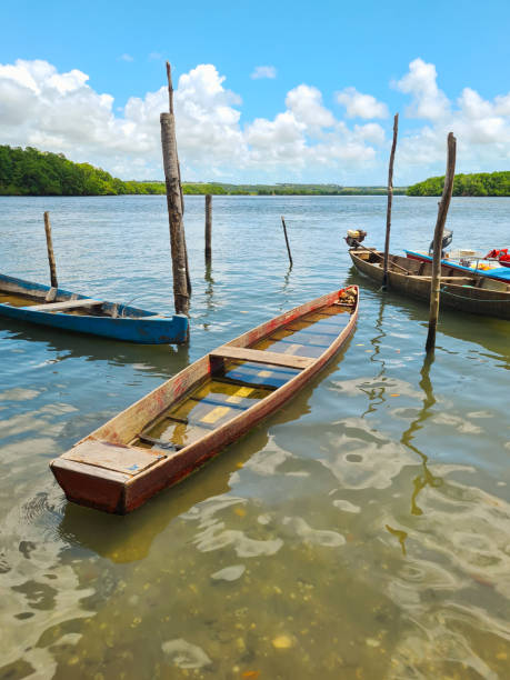 istock Wooden canoes on the river water 1719463036