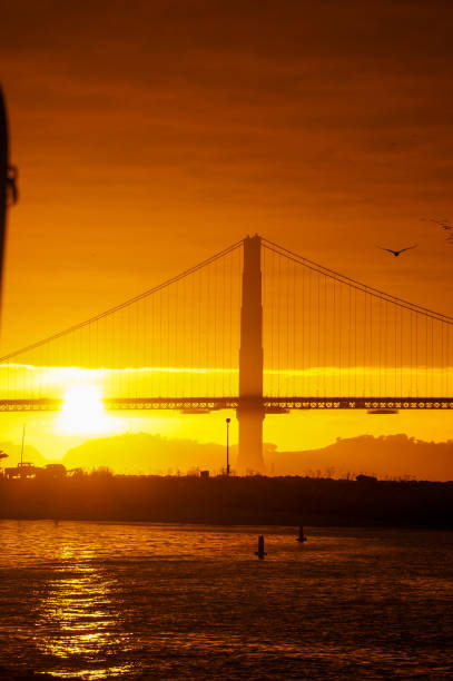 A photo of the Golden Gate Bridge at sunset from the presidio in San Francisco